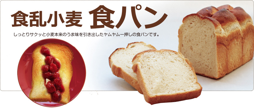 食乱小麦食パン