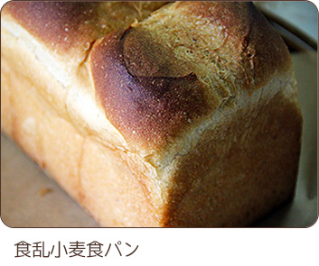 食乱小麦食パン